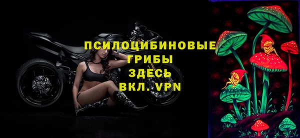 твердый Белоозёрский